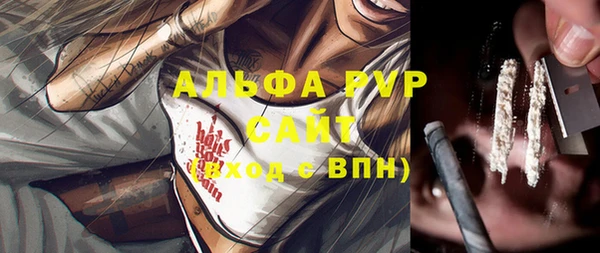 кокс Алексин