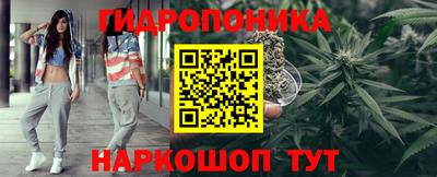 шишки Славянск-на-Кубани