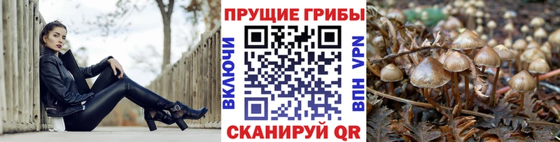 цена   Пенза  Галлюциногенные грибы ЛСД 