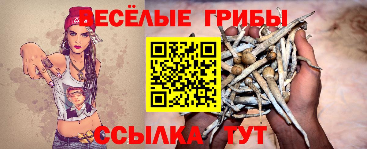 Галлюциногенные грибы мицелий Пенза