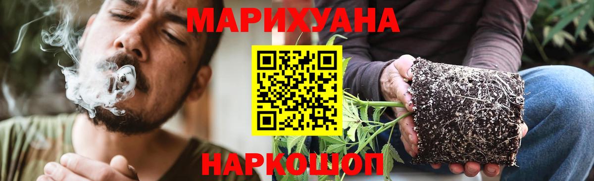 Канабис OG Kush Пенза